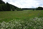 Naturschutzgebiet Aabachtal