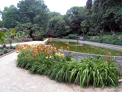 Nikitsky Botanical Garden 3.jpg