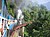 Nilgiri Mountain Train.jpg