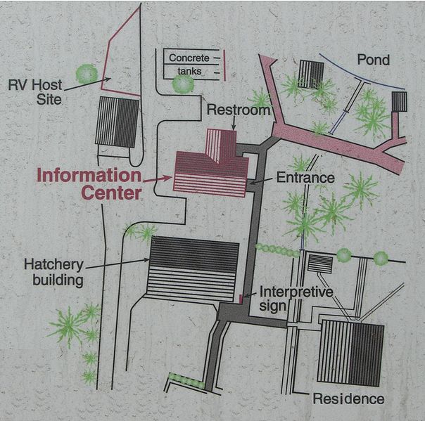 File:Old McKenzie Fish Hatchery Site map.JPG