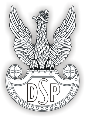Image illustrative de l’article 2e division d'infanterie (Pologne)