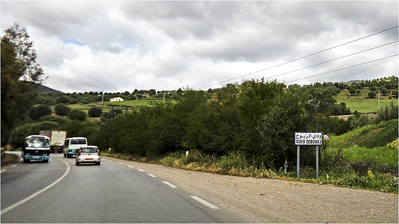 File:Oued Zeboudj واد الزبوج - panoramio.jpg