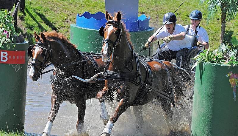 File:Owen pilling water obstacle hopetoun hdt 2009.jpg