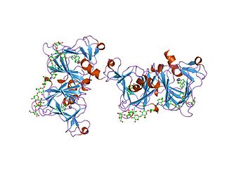 <span class="mw-page-title-main">Auxin binding protein</span>