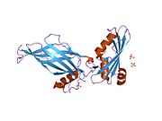 PDB 1pzd EBI.jpg