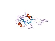 2eyv: SH2 domain of CT10-Regulated Kinase