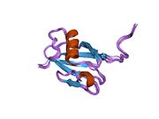 PDB 2rgf EBI.jpg