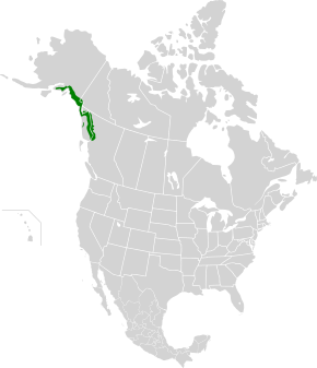 Bildbeschreibung Pacific Coastal Mountain Eisfelder und Tundra map.svg.