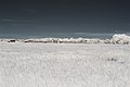 Français : Cimetière depuis la route de Franxault, Pagny-le-Château (Côte d'Or, Bourgogne, France) photographié avec un filtre infrarouge 720 nm. Català: Cementiri des de la carretera de Franxault, Pagny-le-Château (Costa d'Or, Borgonya, França) fotografiat amb un filtre infraroig 720 nm. Español: Cementerio desde la carretera de Franxault, Pagny-le-Château (Côte d'Or, Borgoña, Francia) fotografiado con un filtro infrarrojo 720 nm.