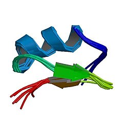 Pandinotoxin α