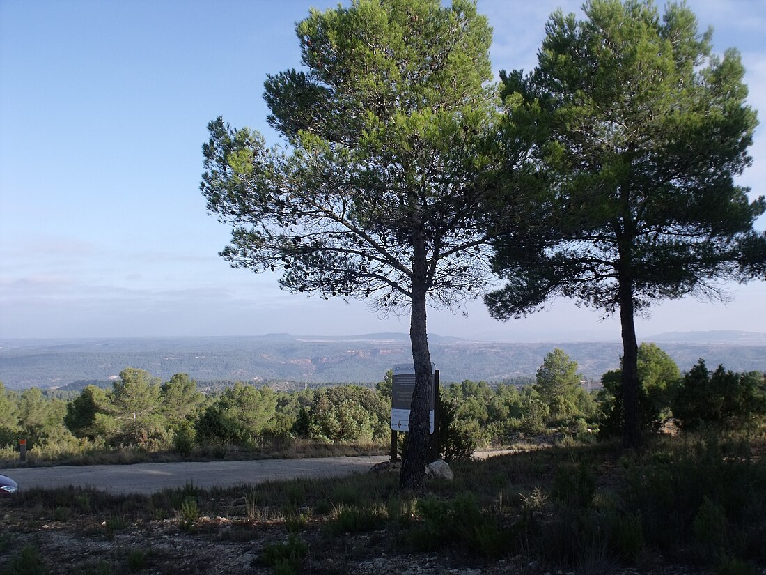 Parc Natural de les Gorges del Cabriol