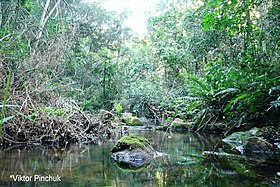 Parque Nacional do Ibikui, dezembro de 2014