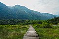 Path for visitors in Semuliki National Park, middle - 1 Feb 2020.jpg