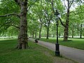 Path through Green Park. [94]