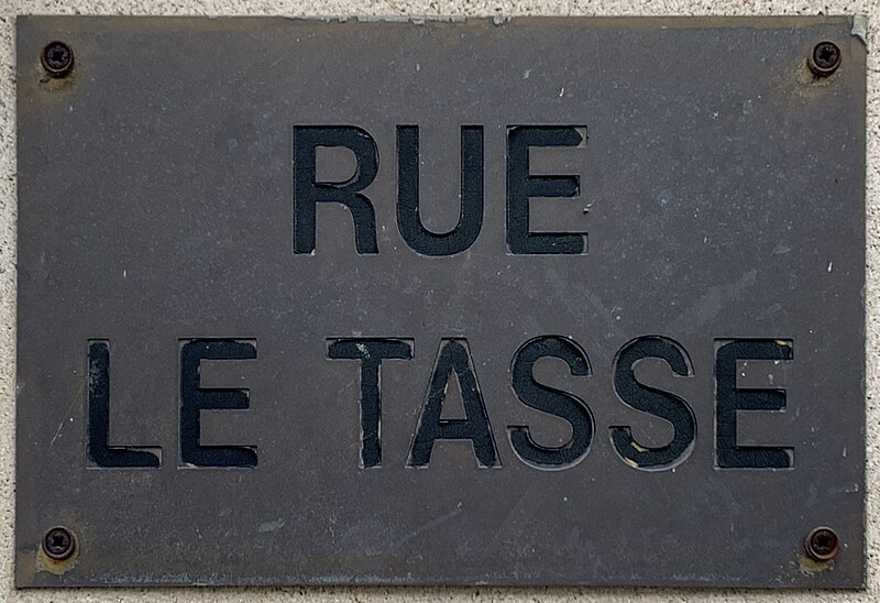 File:Plaque Rue Tasse - Paris XVI (FR75) - 2021-08-18 - 1.jpg