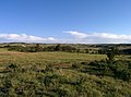 Platte County, WY, USA - panoramio (11).jpg