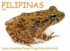 Bildebeskrivelse Platymantis biak 2011 stamp of the Philippines 2.jpg.