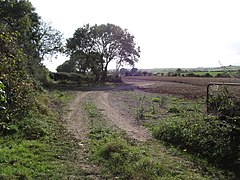 Ploughed land next to the path leading to the Ballynoe Stone Circle - geograph.org.uk - 4200731.jpg