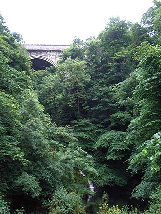 <span class="mw-page-title-main">Poulaphouca</span> Location with waterfall, bridge and reservoir in County Wicklow, Ireland