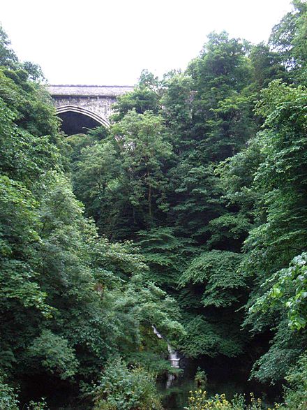 Poulaphouca Falls and Bridge