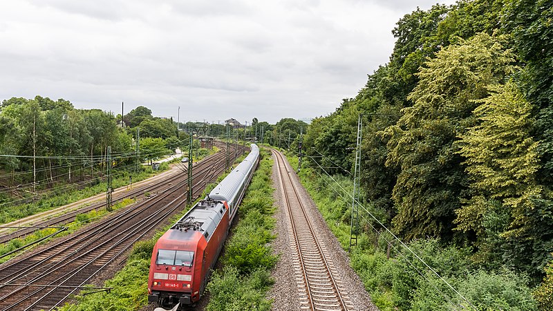 File:Pressetermin zum „Aktionsplan Vegetation“ der Deutschen Bahn in Köln-6720.jpg