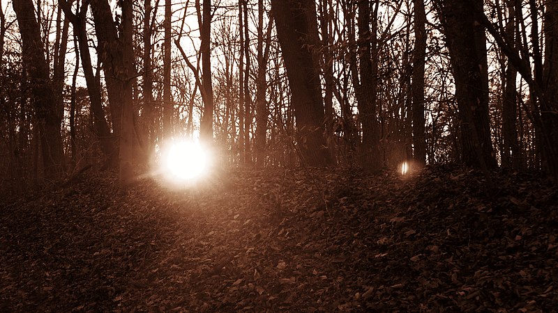 File:Prince William Forest Park - January Walk - Sundog & Setting Sun (12020915935).jpg