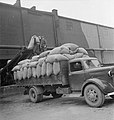 Producing Your Sugar- the Growing and Processing of Sugar Beet, Britain, 1942 D10940.jpg