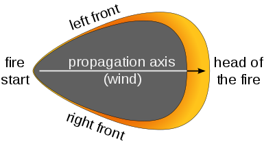 Characteristic shape for the propagation of a wildfire