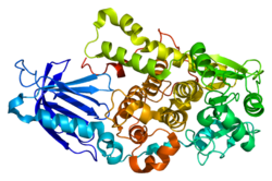 Ақуыз MTMR2 PDB 1lw3.png