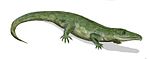 Proterosuchus BW.jpg