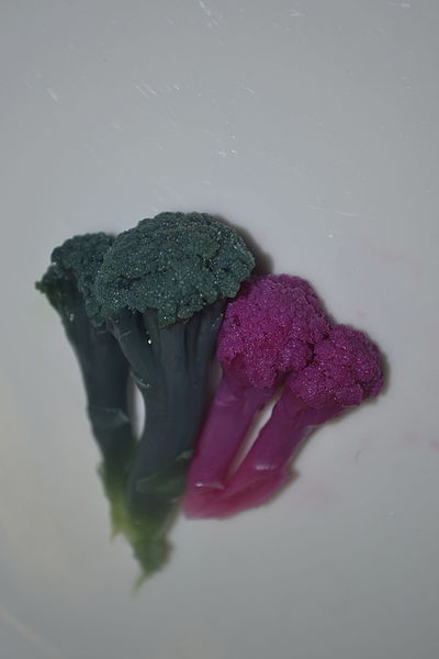 File:Purple Cauliflower Acid Base.jpg