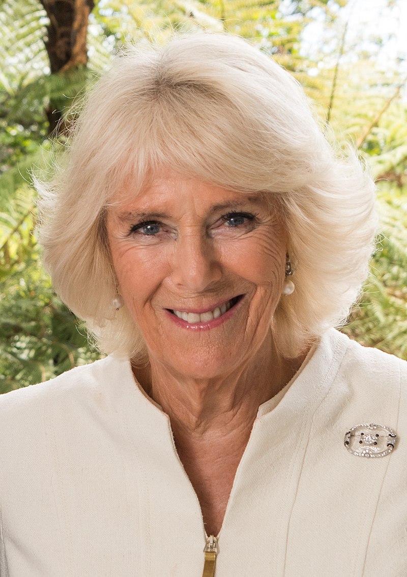 Queen Camilla pic