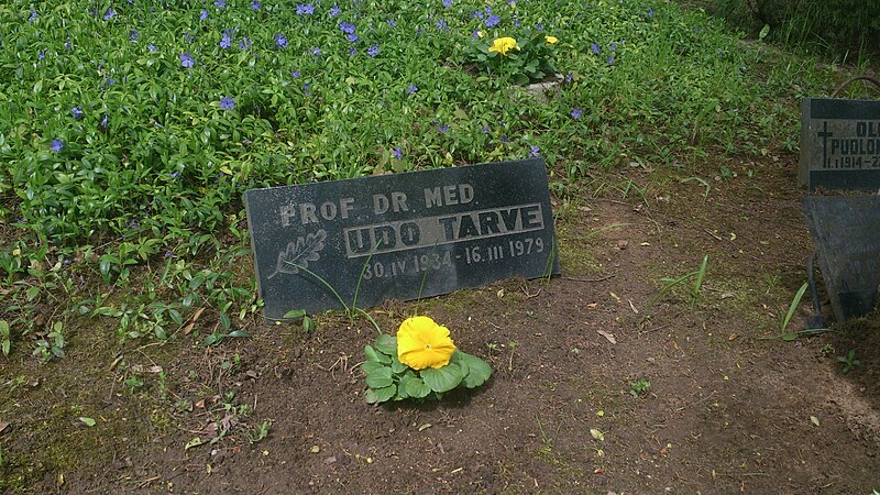 File:Raadi cemetery in Tartu on May 14th, 2015 09.JPG