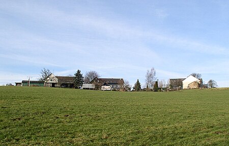 Radevormwald hoende1