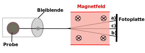 Versuchsaufbau des Strahlungsnachweises verschiedener radioaktiver Proben beim Durchdringen einer Metallplatte und eines Magnetfeldes
