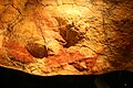 Replica of Altamira cave in Prehistoric museum of Teberga 03.JPG