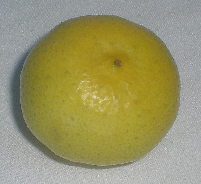 File:Ripekeylime.jpg