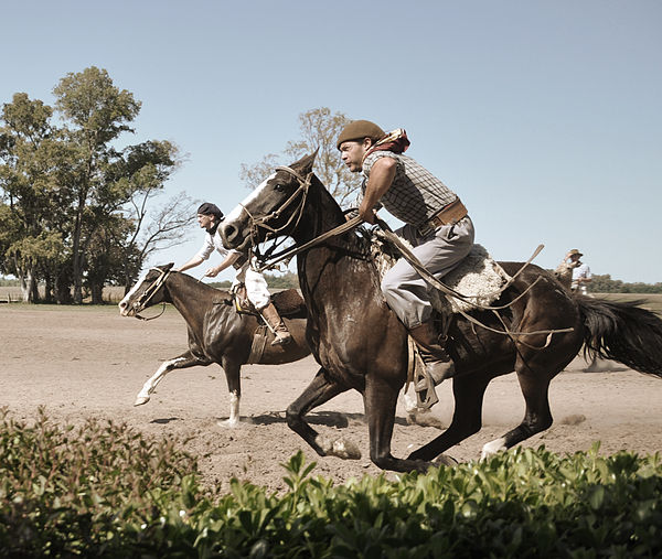 Tasks featured on this leg related to gauchos and other aspects of Argentine equestrianism.