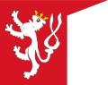Flaga królestwa czeskiego na bazie herbu przybranego przez Przemysła Ottokara II[7]