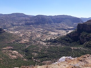 <span class="mw-page-title-main">Exclosure</span> Area protected from livestock grazing