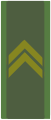 Army 2009
