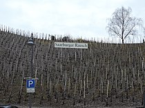 Sommer und Winter am Weinberg „Saarburger Rausch“