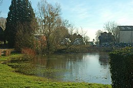 Saint-Pierre-des-Jonquières - Voir