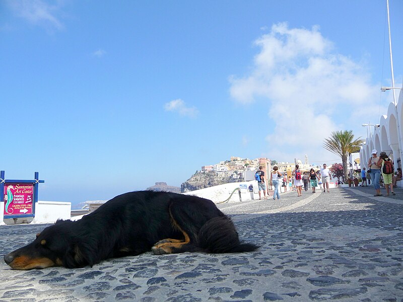 File:Santorini- Fira - panoramio.jpg