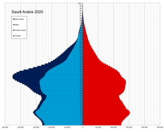 <span class="mw-page-title-main">Demographics of Saudi Arabia</span>