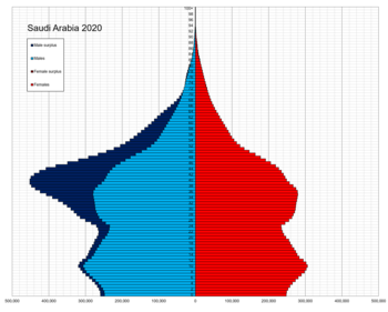 Пирамида единого возраста населения Саудовской Аравии 2020.png