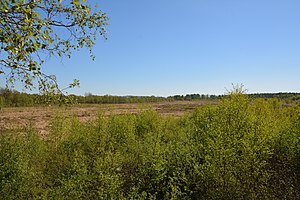 Schleswig-Holstein, Borgwedel, Naturschutzgebiet Esprehmer Moor NIK 1799.jpg