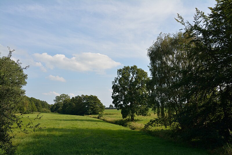 File:Schleswig-Holstein, Mehlbek, Mühlenau NIK 6291.JPG