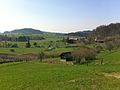 Der Weiler Schonau an der Hauptstrasse von Unter-Rifferswil zum Albispass, 2011