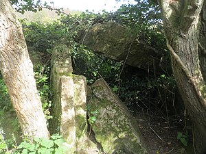 Wedge Tomb von Shankill